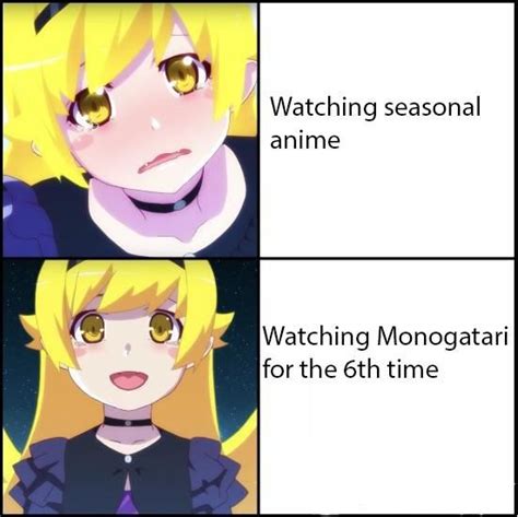 There needs to be more monogatari memes : Animemes | Anime memes funny ...