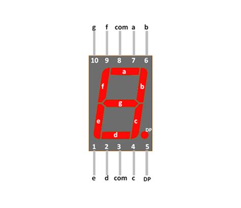 7 Segment Display Datasheet - bubblelasopa