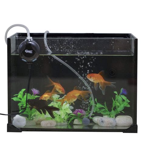 Best 15 Gallon Fish Tank: Aquarium Reviews and Setup Ideas