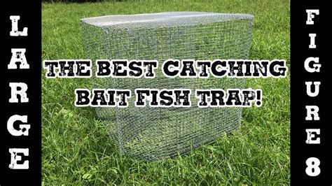 Fish Trap - LARGE Fig 8 Perch Trap or Bait Fish Trap - YouTube