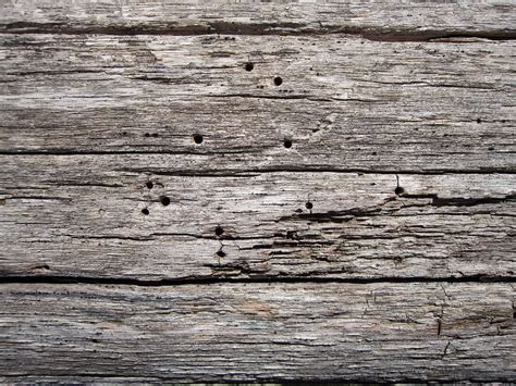 Free photo: Wooden, Surface, Texture, Old - Free Image on Pixabay - 820042