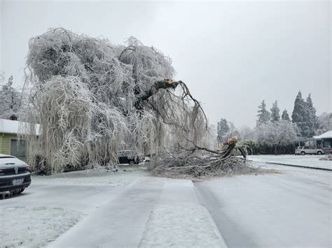 Dangerous ice storm scars cities with damage, causing major disruptions - The Chronicle