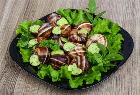 Escargot dish view 12879559 Stock Photo at Vecteezy