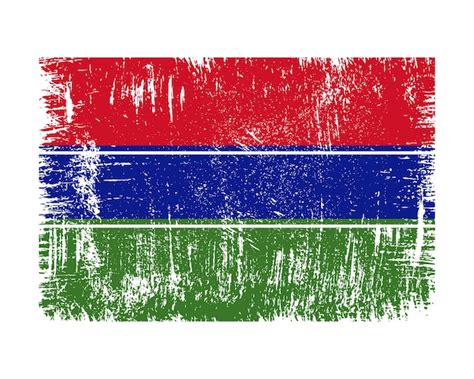 Premium Vector | Gambia flag vector