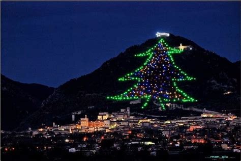 The Biggest Christmas Tree in the World, Gubbio, Umbria - La Gazzetta ...