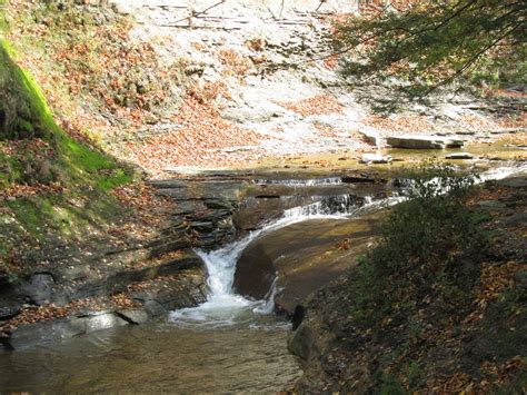 STONY BROOK PARK | Brook park, My pictures, Outdoor