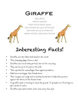 Science: Next Generation - Zoo Animal Facts by Firsties in PDX | TpT