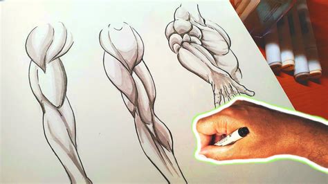 Share 75+ anime muscular body drawing latest - in.coedo.com.vn