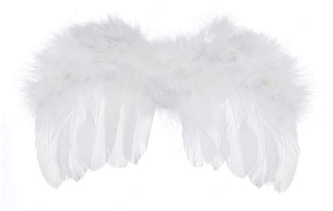 Premium Photo | White angel wings isolated on a white background