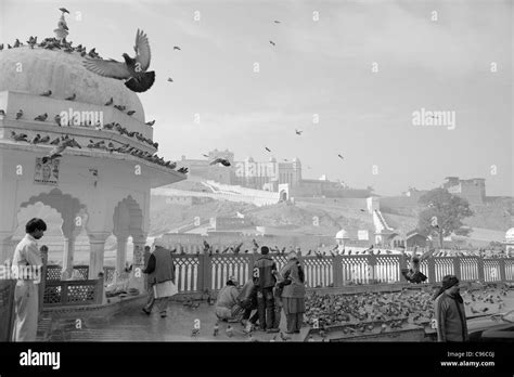 Amber fort rajasthan Black and White Stock Photos & Images - Alamy