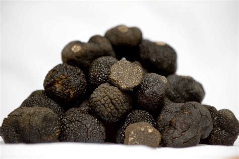 TUBER MELANOSPORUM BLACK TRUFFLES BY MANJARES DE LA TIERRA. (TRUFFES, TRÜFFLES, TRUFAS, TARTUFI ...