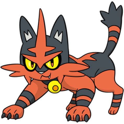 Pokemon Torracat Png Clipart - Large Size Png Image - PikPng