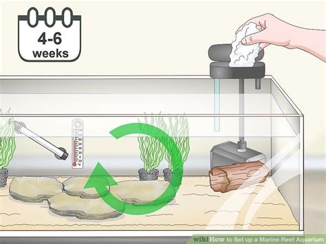 How to Set up a Marine Reef Aquarium: 14 Steps (with Pictures)