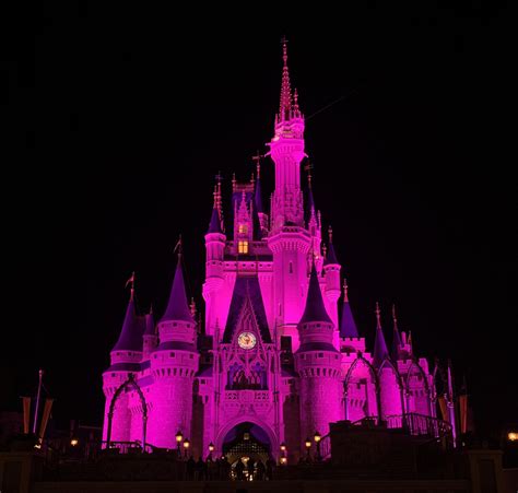 There’s nothing prettier than Cinderella’s castle at night. Especially ...