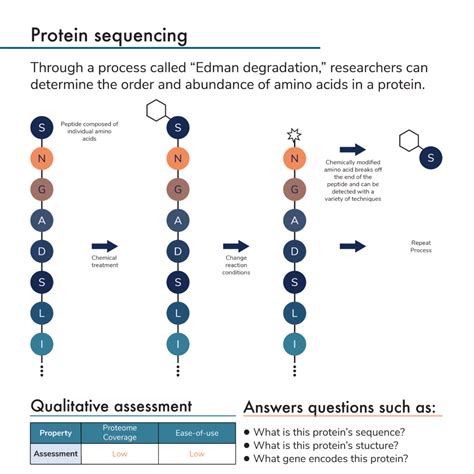 Traditional protein analysis methods - Protein sequencing ~ Nautilus Biotechnology