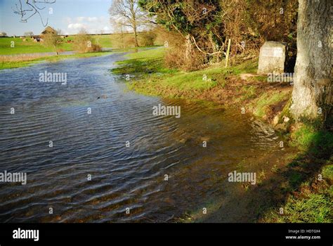 Flooded meadow at Thames Head, the official source of the river Thames Stock Photo - Alamy