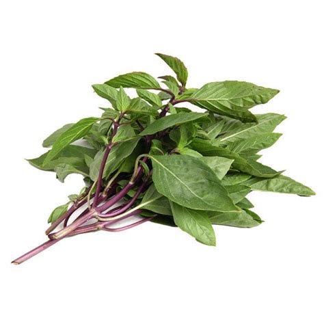 Thai Basil — Melissas Produce