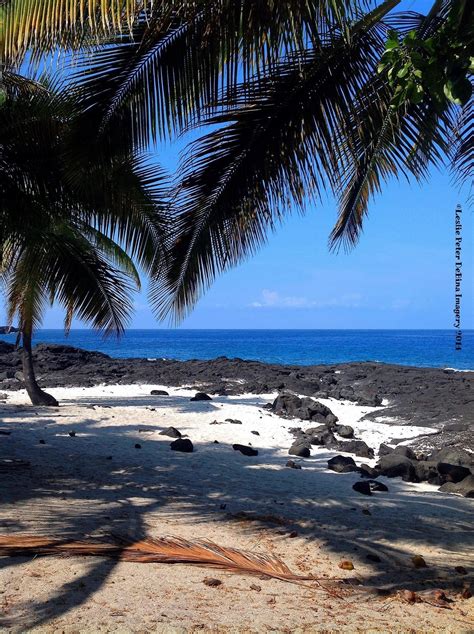 KONA HAWAIIAN PARADISE KONA COAST, ISLAND OF HAWAIʻI Leslie Peter DeBina Imageryn | Fondos