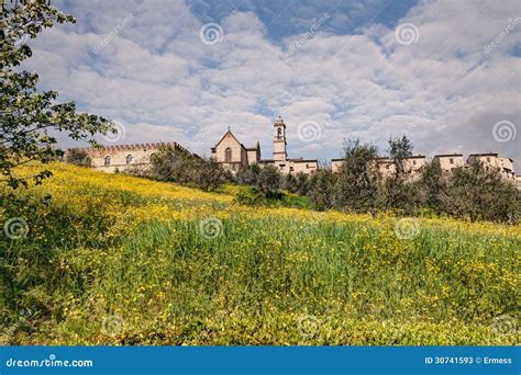 Florence Charterhouse stock image. Image of quiet, green - 30741593