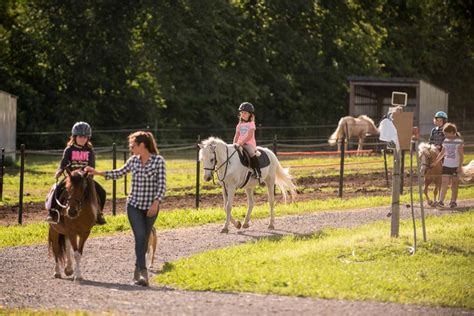 Horse Riding Summer Day Camps | ADK Stables Kingston Napanee Stone Mills