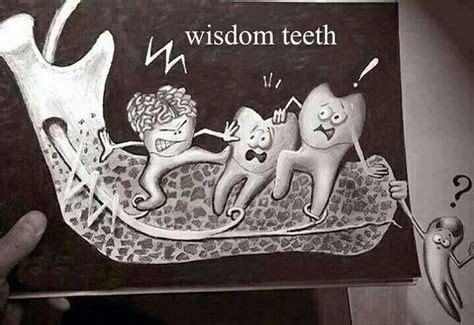 LOL! This is so funny! | Wisdom teeth, Dental, Impacted wisdom teeth