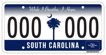 South Carolina License Plate Lookup | SC Plate Number Check