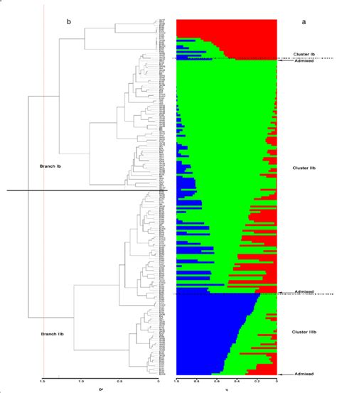 Estimate of genetic diversity in a sub-population of 191 C. annuum ...