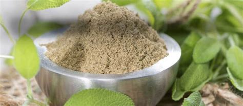 Amazing Benefits of Kratom Leaves You Won’t Believe - Women Daily Magazine