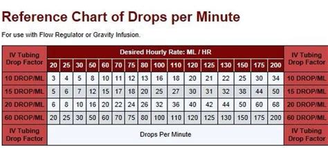 √ Infusion Rate - Theodore Bailey