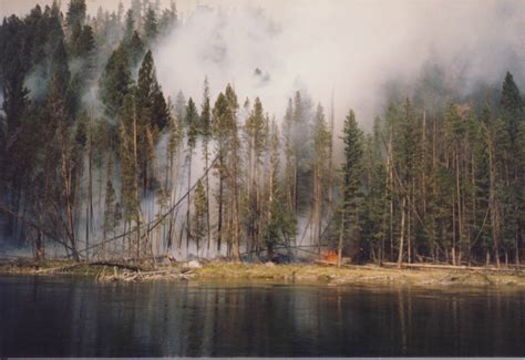 September 1988 Yellowstone Fire (1) – Hillfamily dot net