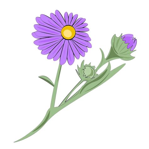 Premium Vector | Violet flower isolated on white background