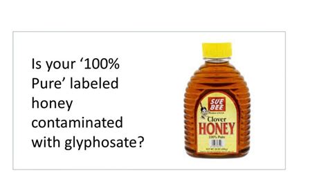 French Beekeepers Sue Bayer/Monsanto on Glyphosate in Honey; U.S. Court Allows Glyphosate ...