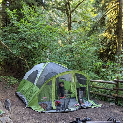 Best tent camping in Tillamook State Forest | The Dyrt