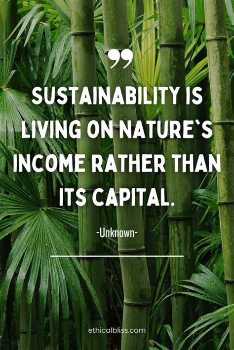 55 Powerful Sustainability Quotes to Spark Eco-Friendly Action ...