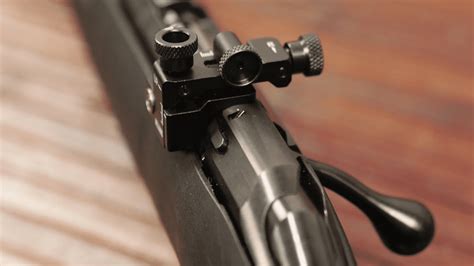 How to Peep Sight With a Rifle: Instructions, Tips, and Tricks for ...