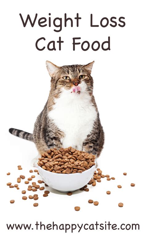 Find Out What The Best Cat Food Weight Loss Is Here!