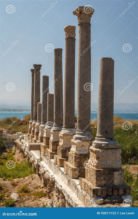 Ruins of the Roman City in Tyre Stock Image - Image of tourist, retro ...