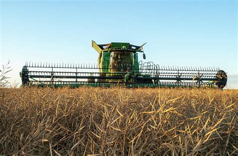 Canola Harvest Photograph by Dave Reede - Fine Art America