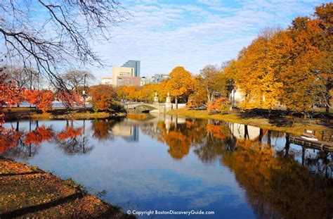 Boston Fall Foliage - Tours - Boston Discovery Guide