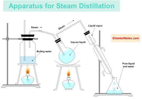 Steam Distillation; Apparatus and 2 important examples - Chemistry Notes