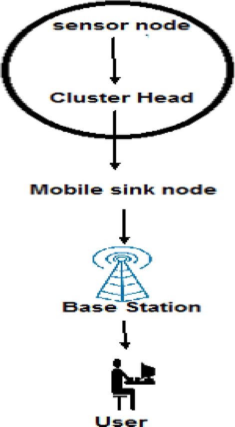 Diagrammatic representation of MCM protocol | Download Scientific Diagram