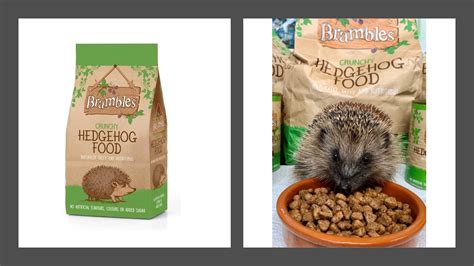 Hedgehog Food