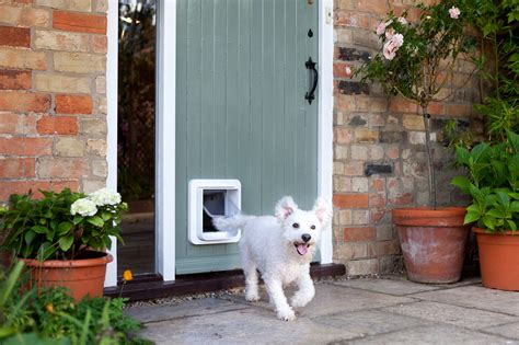 The SureFlap Microchip Pet Door for large cats & small dogs