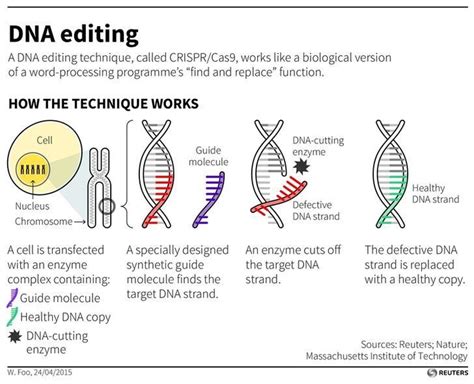 Editiranje DNA - pitanja - Monitor.hr