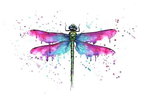 Dragonfly Watercolor Pictures at GetDrawings | Free download