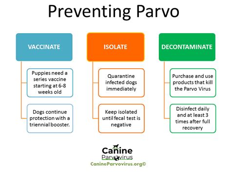 DMCASF | Canine Parvovirus in Our Community