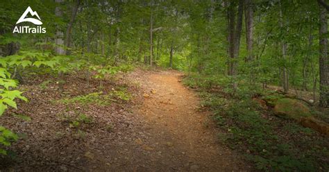 10 Best hikes and trails in Uwharrie National Forest | AllTrails