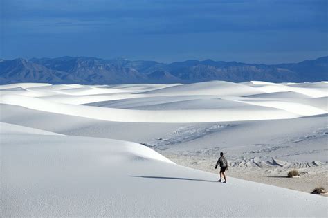 Visiting White Sands National Monument With Your Dog