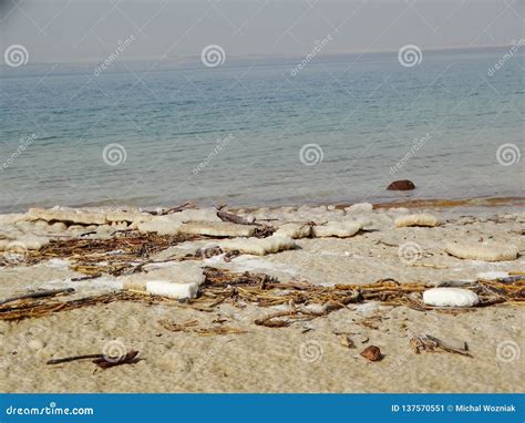 Salt on dead sea Jordan stock image. Image of israel - 137570551