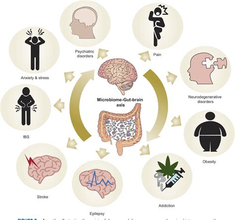 Figure 6 from The Microbiota-Gut-Brain Axis. | Semantic Scholar